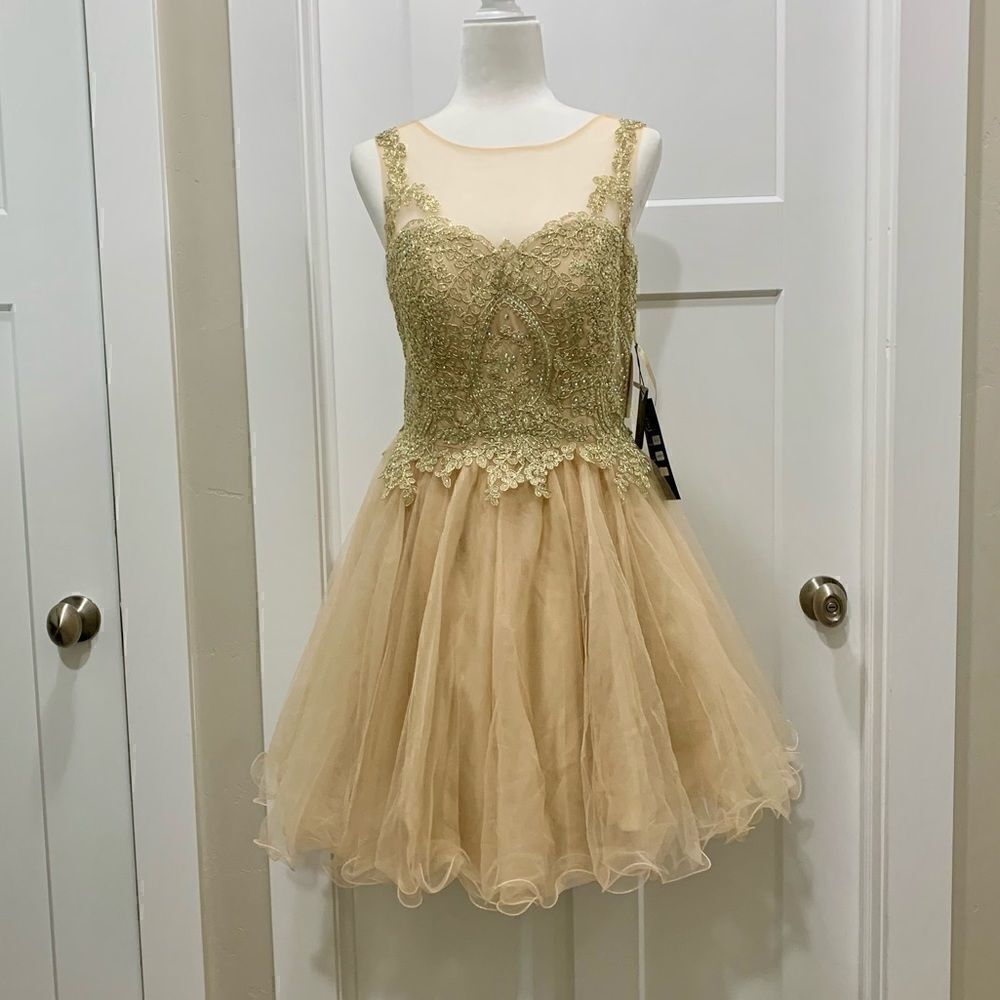 Mesh embroidered beaded Lace Short Ruffled  Dress